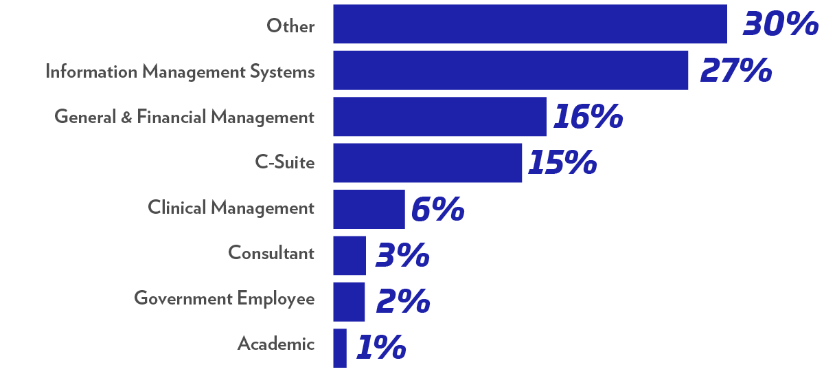 nearly a third Other, even breakdown of IT Management, general & financial management, and c-suite