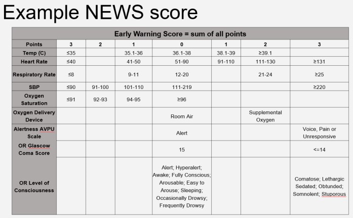 Figure 5 Example NEWS Score